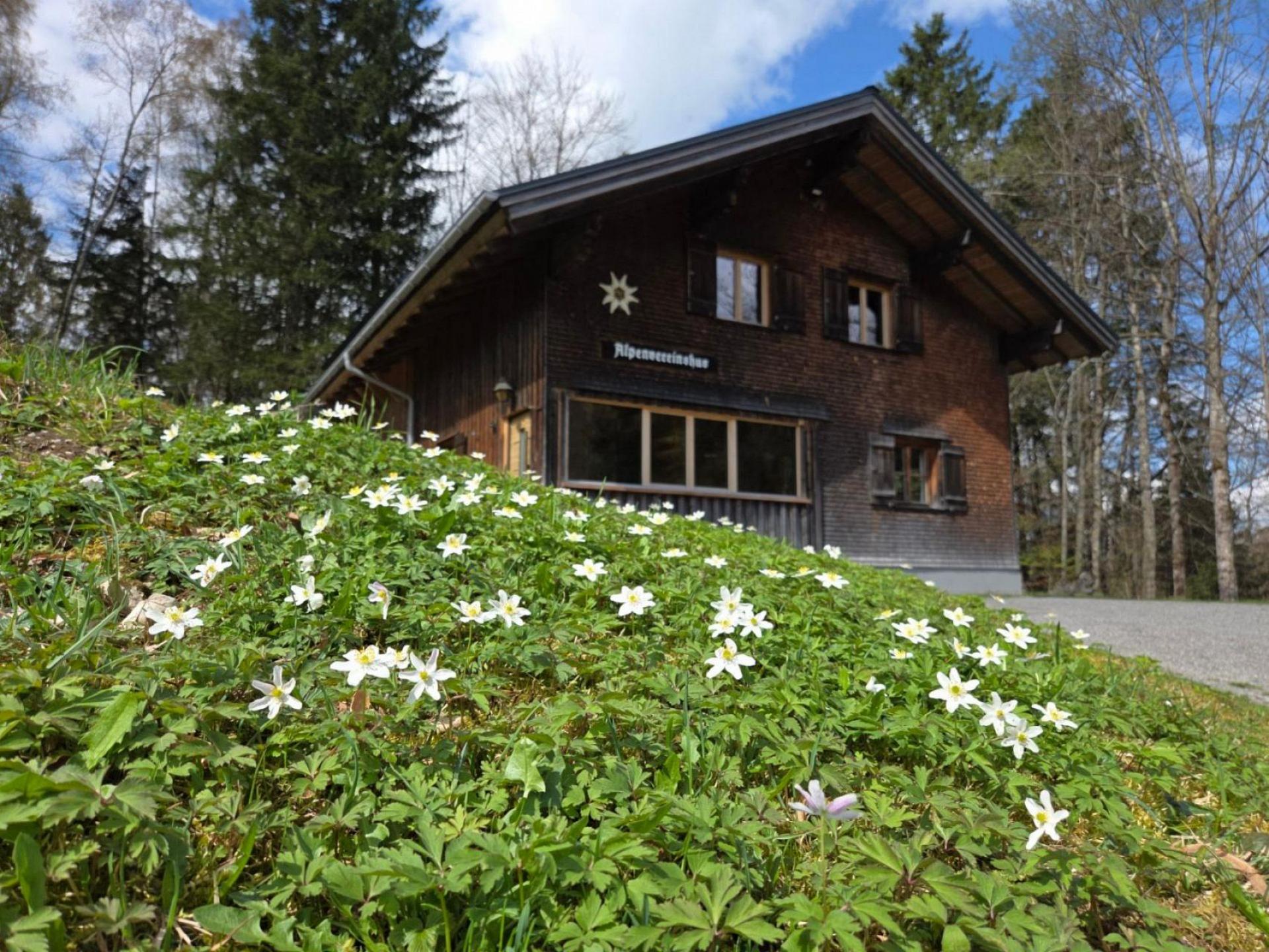 Fr&uuml;hling